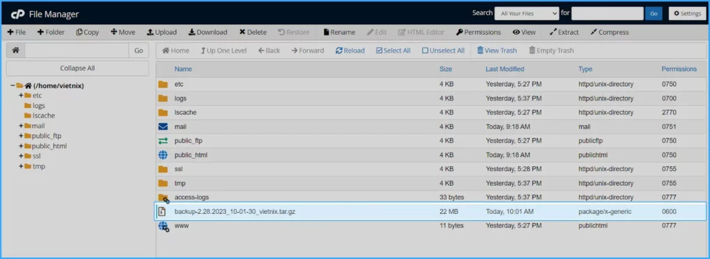 Hướng dẫn sử dụng cPanel với giao diện Jupiter 84 Download file backup