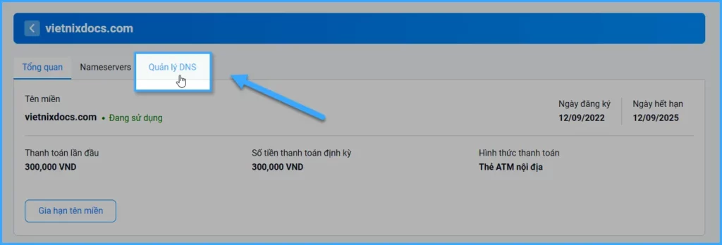 Chọn Quản lý DNS