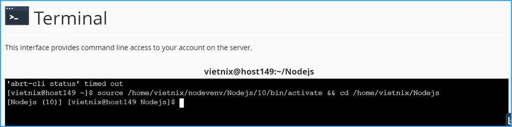 Hướng dẫn chi tiết cách chạy Nodejs trên hosting 20 Dán lệnh