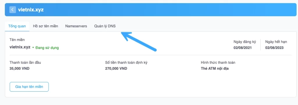 Chọn Quản lý DNS