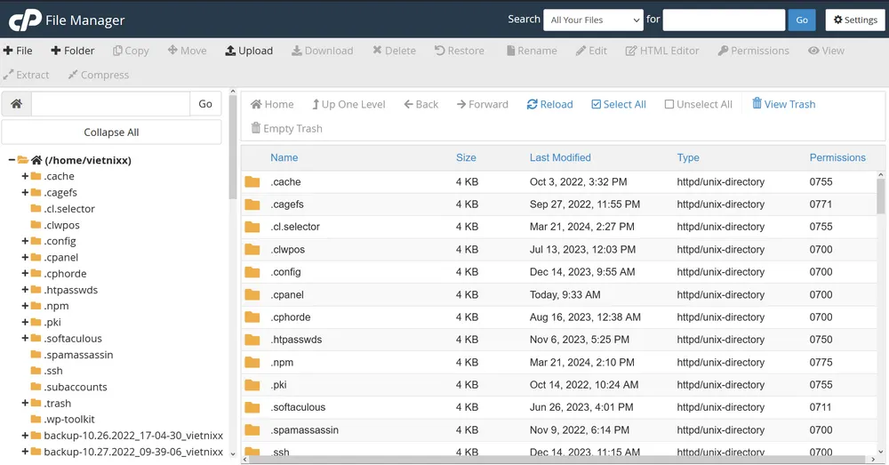Hướng dẫn upload dữ liệu lên cPanel bằng File Manager 14 Giao diện File Manager