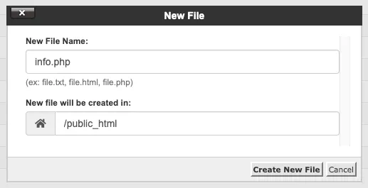 2 cách thay đổi phiên bản PHP trên cPanel nhanh chóng 33 Điền tên file