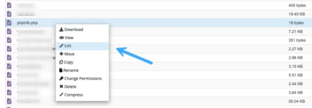 2 cách thay đổi phiên bản PHP trên cPanel nhanh chóng 34 Sửa file info.php