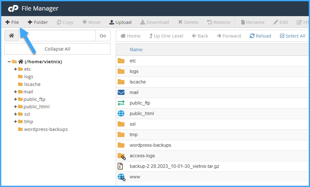 Hướng dẫn sử dụng cPanel với giao diện Jupiter 90 Chọn File trong giao diện File Manager