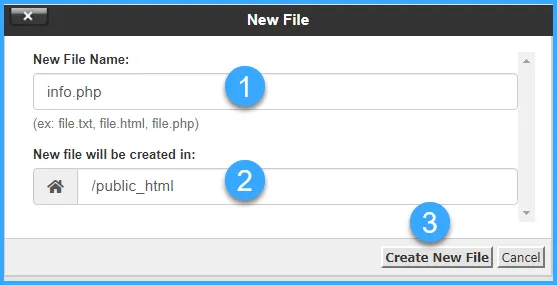 Hướng dẫn sử dụng cPanel với giao diện Jupiter 91 Tạo file info.php
