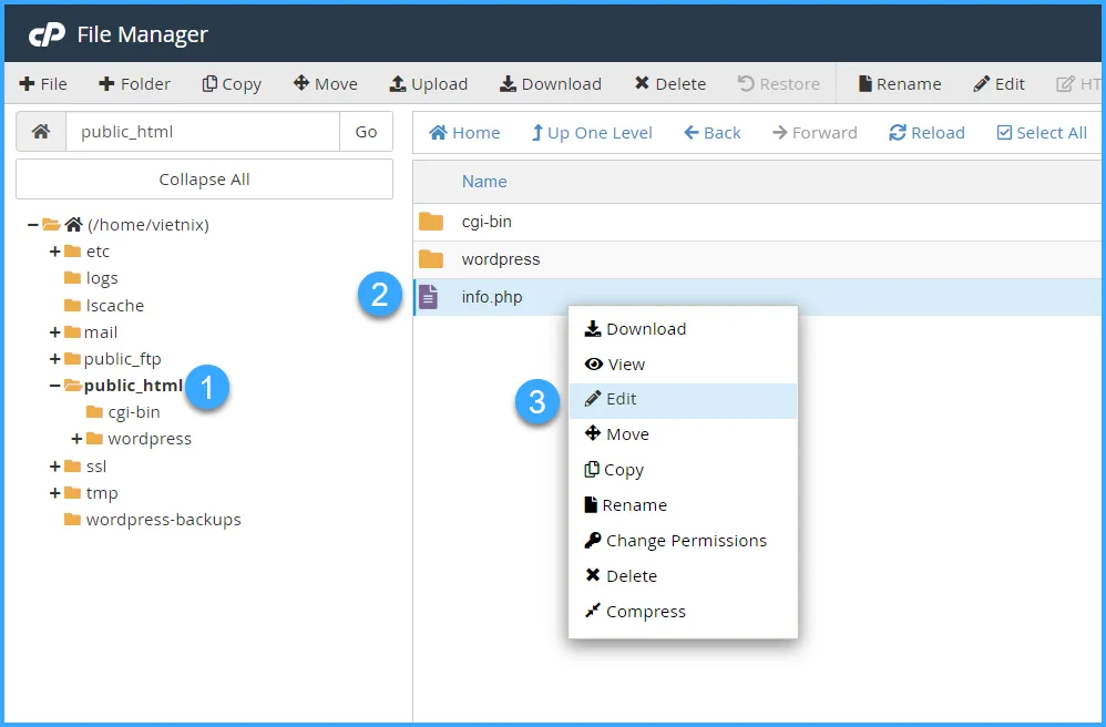 Hướng dẫn sử dụng cPanel với giao diện Jupiter 92 Chọn edit file info.php