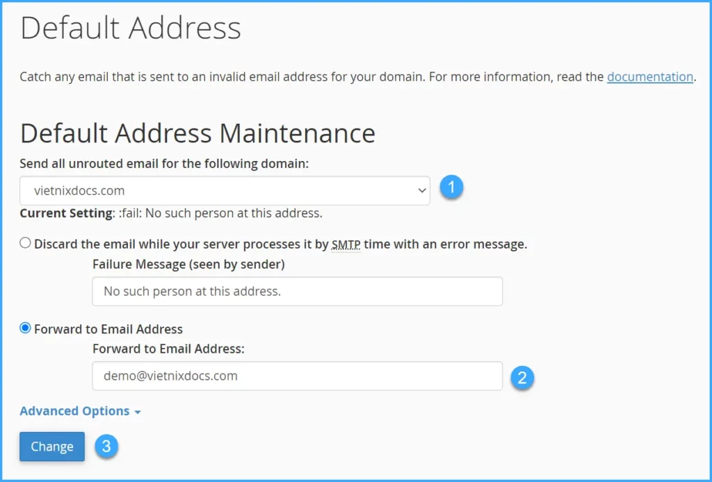Thiết lập Catch-all Email