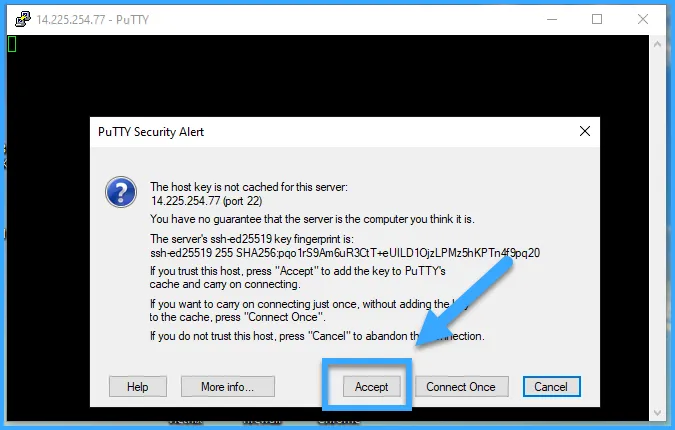 Chọn Accept để tiếp tục