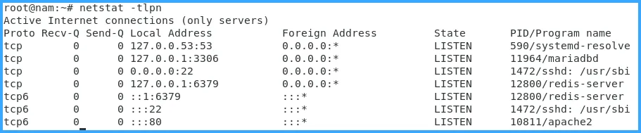 Kiểm tra trạng thái port của Redis