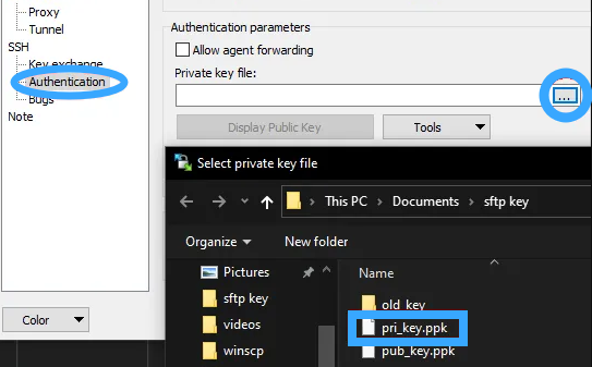 Key tự động được nhập