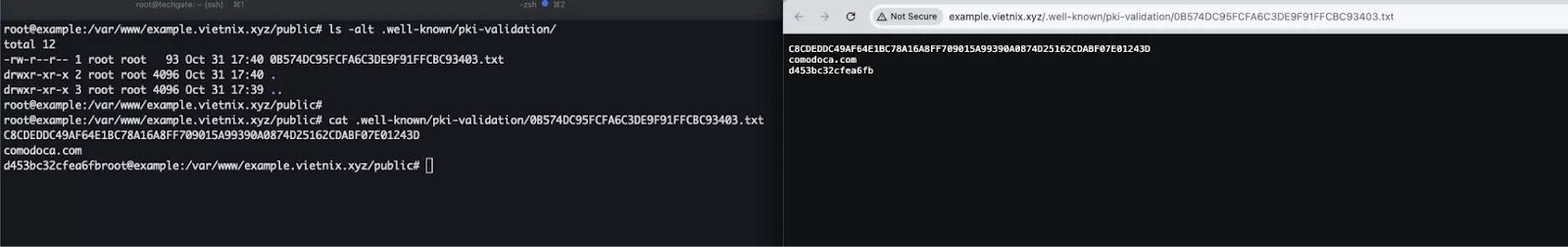 Upload file xác thực