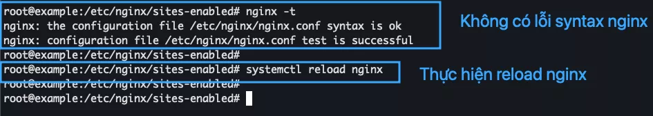 Thực hiện reload Nginx