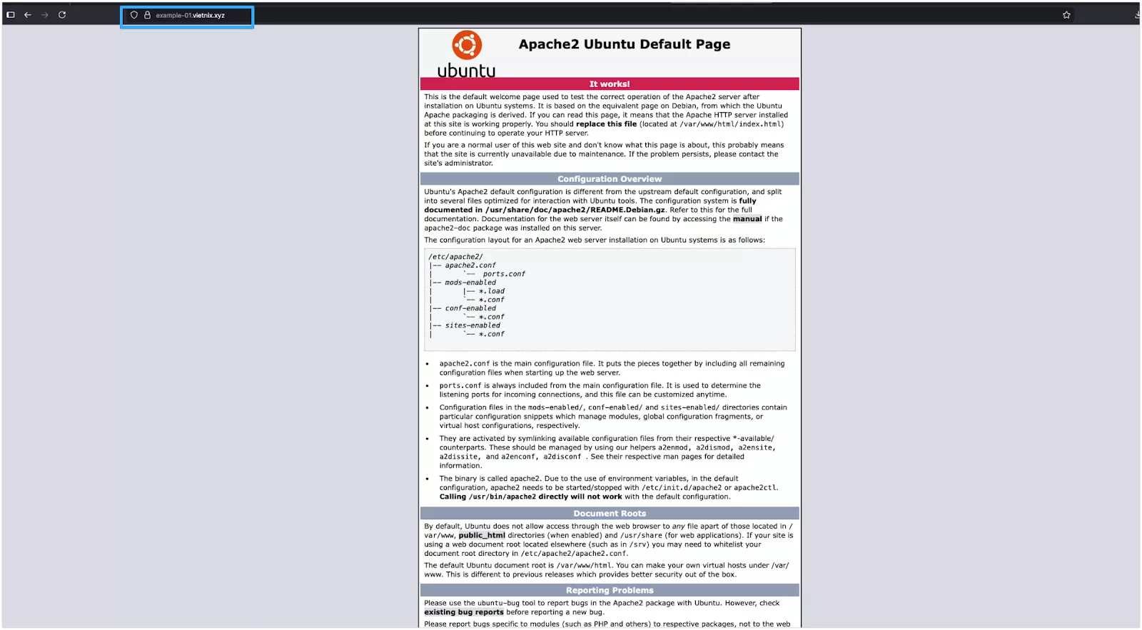 Kiểm tra trên trình duyệt web