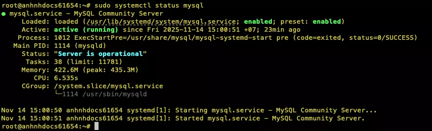 Kiểm tra trạng thái dịch vụ MySQL