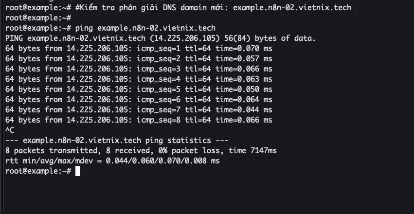 Kiểm tra phân giải DNS domain mới