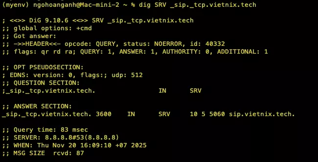 Kiểm tra bằng lệnh dig là chính xác nhất