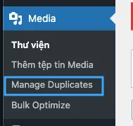 Truy cập vào mục Manage Duplicates 