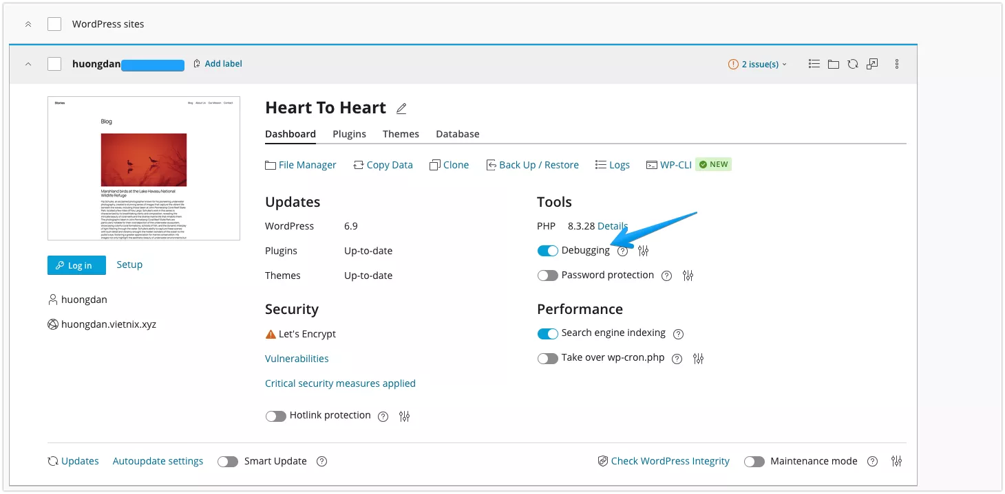 Debugging cho phép bật và tắt chế độ gỡ lỗi của WordPress
