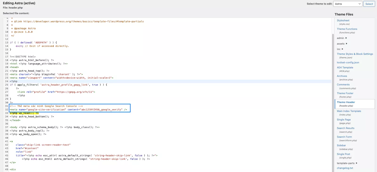 Dán đoạn code vào phần<head> trong file header.php