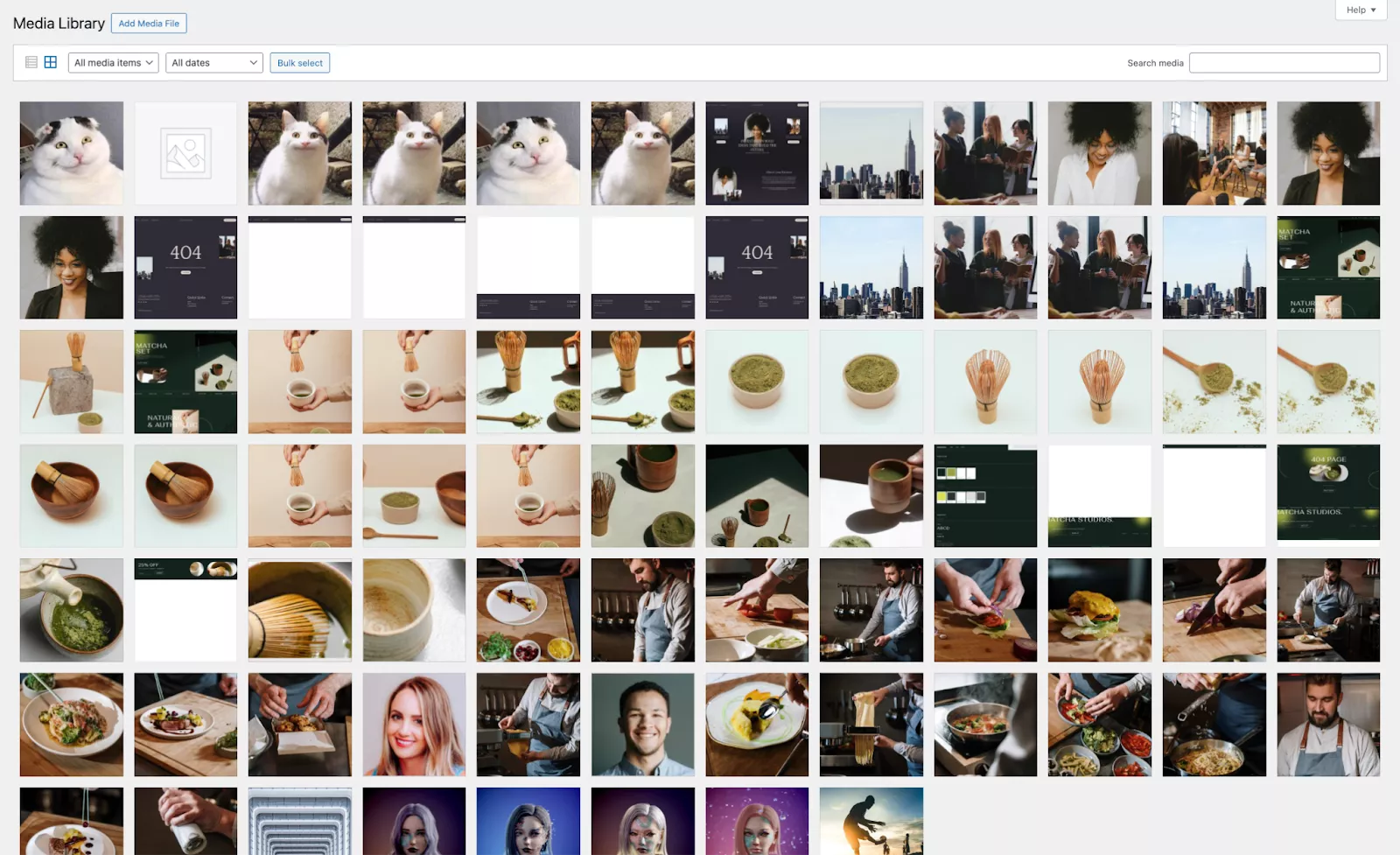 Kiểm tra các tệp tin media