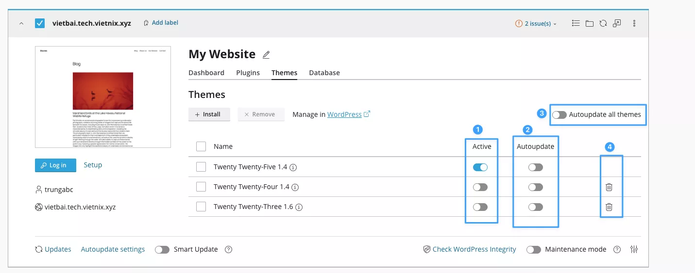 Trang quản lý themes của website