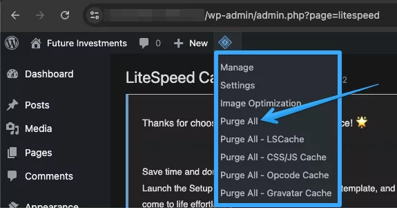 Menu LiteSpeed Cache trên Admin Bar 